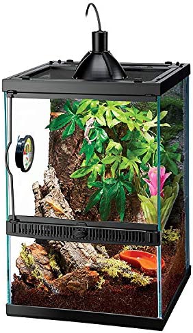 Zilla Tropical Vertical Habitat Starter Kit for Small Tree Dwelling Reptiles & Amphibians Like Geckos and Frogs post thumbnail image