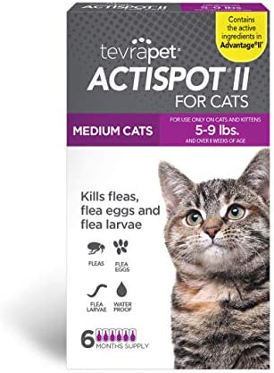 TevraPet Actispot II Flea Treatment for Small and Medium Cats 5-9 lbs | 6 Doses | Powerful Prevention and Control, Clear post thumbnail image