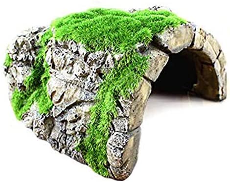 SunGrow Aquarium Decor Rock Cave for Betta Fish Hermit Crab Gecko Shrimp, Tank Rock Cave Ornaments, Fish House Aquarium Hideout Décor for Aquatic Frog Pets, Resin Hideaway Cave with Artificial Moss post thumbnail image