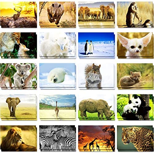 60 Pieces Wild Animal Postcards Animal Themed Blank Postcards Pandas Lions Polar Bears Penguins Elephants Giraffes Animal Greeting Postcards for Kids Teachers, 4 x 6Inches, 20 Styles post thumbnail image