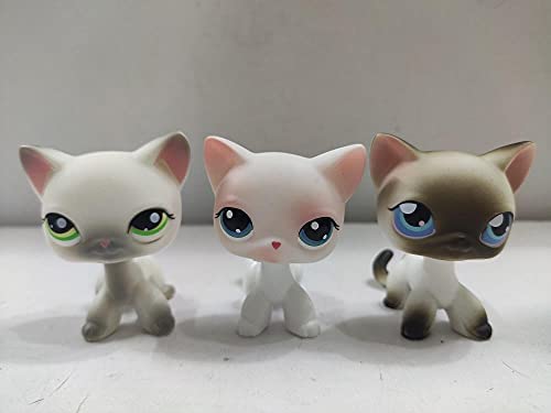 3pcs/Lot Set Pets Littlest Pet Shop LPS Cats Kitty lps Blue Green Blue Eyes Figure Toys Rare Gift Girl Toys post thumbnail image