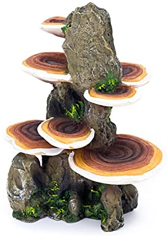 Penn-Plax Deco-Replicas Tree Trunk with Shelf Mushrooms Aquarium Decoration – Safe for Freshwater and Saltwater Fish Tanks – Medium post thumbnail image