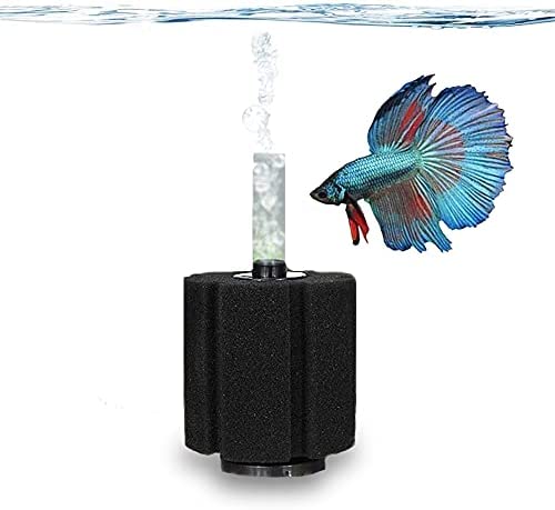 SunGrow 10-Gallon Betta Sponge Filter, Underwater Center Aquarium Filter, Attach it to Air Pump (Not Included) to Run, Works for Tropical Fish & Breeder Aquarium, Perfect for Fry & Small Fish post thumbnail image