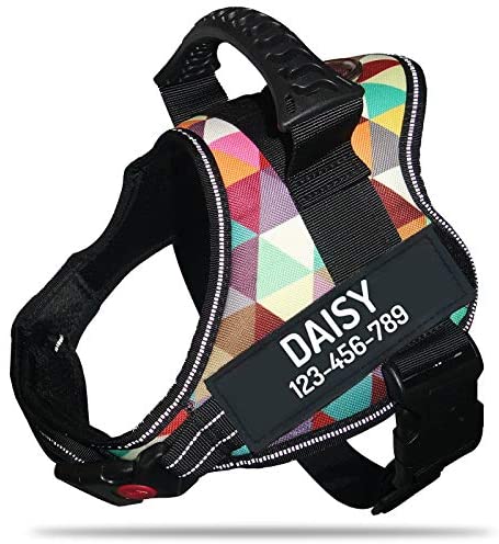 Personalized No Pull Dog Harness with Custom Name and Phone Number by PawPawify, Heavy Duty Pet Vest to Prevent Tugging, Pulling, or Choking, Training and Walking post thumbnail image