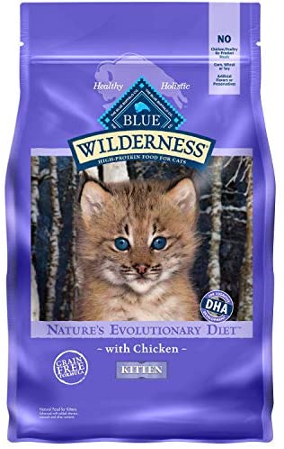 Blue Buffalo Wilderness High Protein, Natural Kitten Dry Cat Food, Chicken 5-lb post thumbnail image