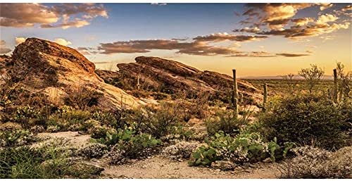 AWERT Reptile Habitat Background Blue Sky Oasis Cactus Sun and Desert Terrarium Background 48×18 inches Durable Polyester Background post thumbnail image