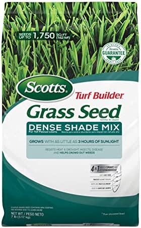 Scotts Turf Builder Grass Seed Dense Shade Mix for Tall Fescue Lawns, Grows with as Little as 3 Hours of Sunlight, 7 lbs. post thumbnail image