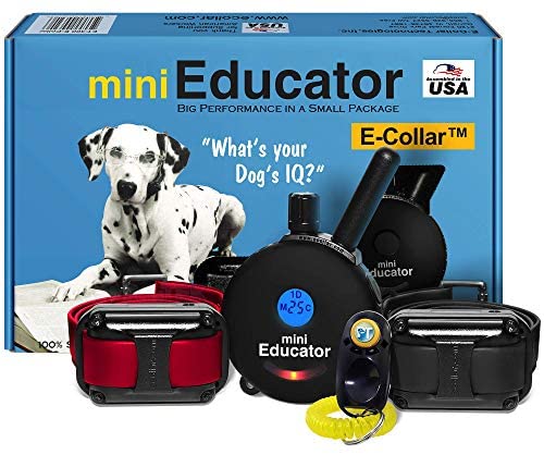 Educator ET-302 BK – 1/2 Mile Rechargeable Dog Trainer Ecollar with Remote for Small, Medium, and Large Dogs by E-Collar Technologies – Electric, Vibration, Tone, and Stimulation Training Collar post thumbnail image