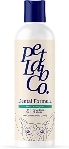 Petlab Co. Dog Dental Formula – Keep Dog Breath Fresh and Teeth Clean – Supports Gum Health – Dog Water Additive Dental Care Targets Tartar – Packaging May Vary post thumbnail image