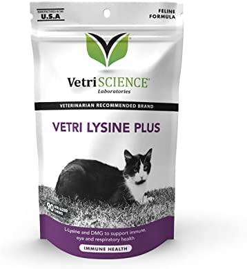 VetriScience Laboratories – Vetri Lysine Plus, Immune Support Supplement for Cats, 90 Bite Sized Chews post thumbnail image