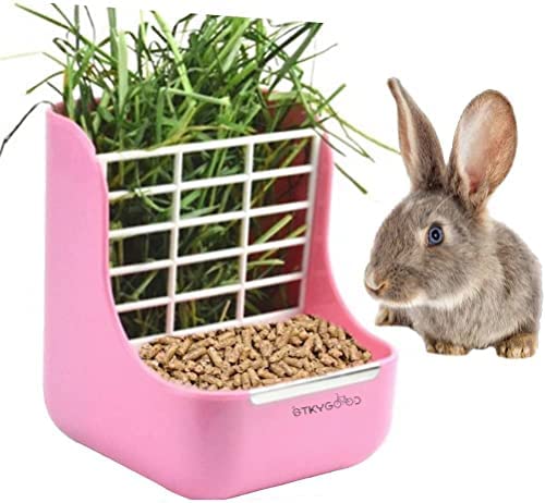 2 in 1 Food Hay Feeder for Guinea Pig, Rabbit Feeder, Indoor Hay Feeder for Guinea Pig, Rabbit, Chinchilla, Feeder Bowls Use for Grass & Food (Pink) post thumbnail image