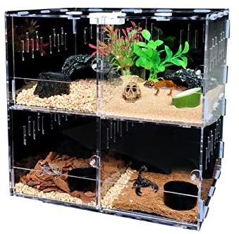 Reptile Terrarium Cage ,4 Grids Reptile Cage Enclosure Box Tarantula Insect Scorpion Clear Display Case post thumbnail image