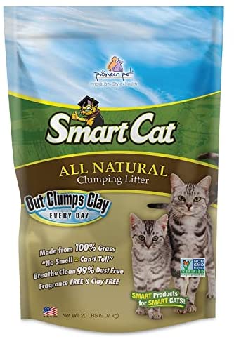 SmartCat All Natural Clumping Litter, 20-Pound (6506), (Pack of 1), 320 Ounce. post thumbnail image