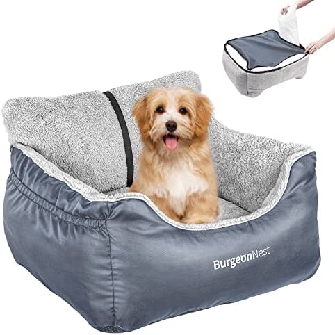 BurgeonNest Dog Car Seat for Small Dogs, Washable Soft Dog Booster Seats for Small Pets Under 25 lbs, Portable Dog Carseat Travel Bed with Storage Pockets and Clip-On Leash post thumbnail image