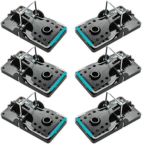 Large Rat Traps, Set of 6, Reusable Pest Control Solutions for Trapping Against Mouse, Chipmunk, and Squirrel. Instant Humane Kill Rodent Snap Trap That Work post thumbnail image