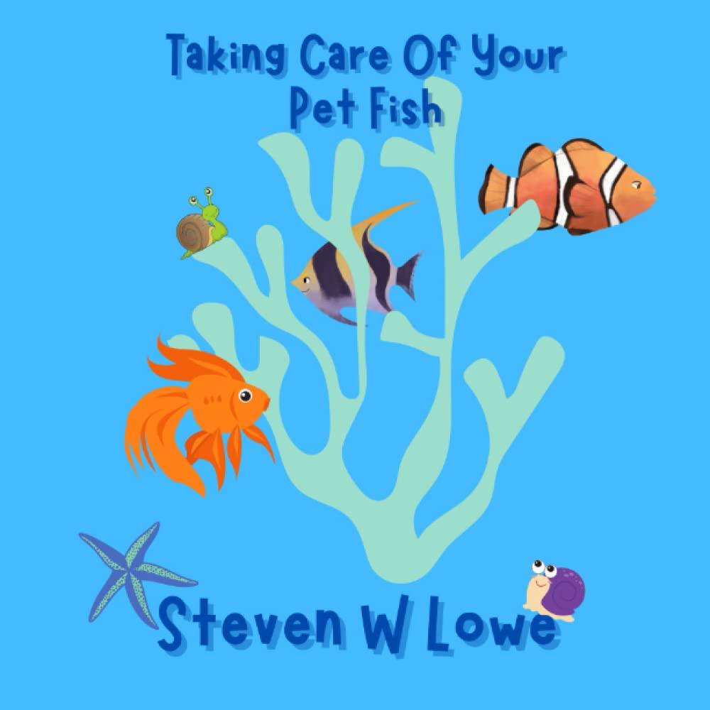 How To Take Care Of Your Pet Fish post thumbnail image