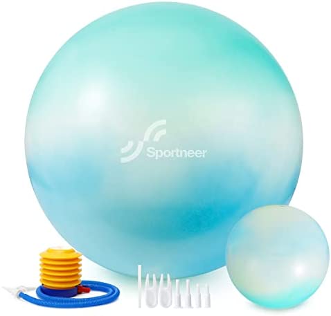 Sportneer Exercise Ball – Extra Thick Yoga Ball with Barre Ball and Quick Pump – Anti-Burst and Slip Resistant Fitness Ball Chair for Balance, Home Gym, Stability, Pregnancy and Physical Therapy post thumbnail image