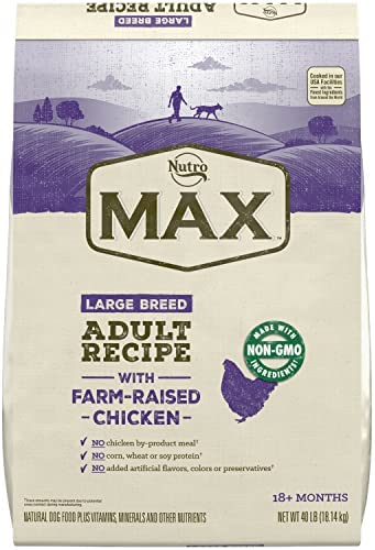 Nutro MAX Large Breed Adult Recipe Dry Dog Food with Farm-Raised Chicken, 40 LB Bag post thumbnail image