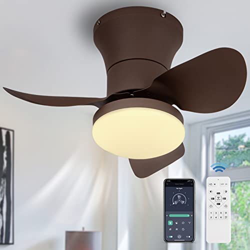 21″ Ceiling Fans with Lights and Remote, Small Modern Flush Mount Ceiling Fan Remote and APP Control, Low Profile Smart Ceiling Fan Light-Dimmable/Metal Blades for Kitchen Bedroom Dining Room Patio post thumbnail image