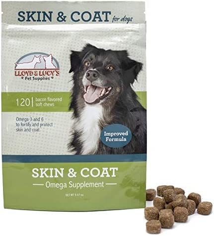 Skin and Coat Omega Supplement for Dogs, Omega 3 and 6 for Healthy Skin and Shiny Coat, 120 Soft Chews, Bacon Flavored Treats, Protects Against Itchy and Dry Skin, Fortifies and Strengthens Coat (120) post thumbnail image