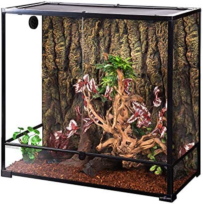 REPTI ZOO Large Reptile Terrarium, Vertical Reptile Tank, Wide & Tall Chameleon Cage with Top Screen Ventilation (36″ W X 18″ D X 36″ H (Glass)) post thumbnail image