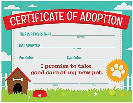 Fun Express Dog Adoption Certificates – Dog Party Favors and Supplies – 12 Pieces post thumbnail image