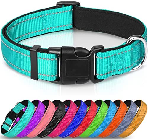 Joytale Reflective Dog Collar,Soft Neoprene Padded Breathable Nylon Pet Collar Adjustable for Small Dogs,Teal,S post thumbnail image