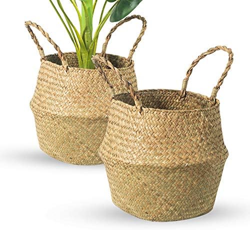 BrilliantJo Seagrass Belly Basket, Set of 2 Woven Plant Pot Holder handmade Home Decor for Storage Plants Picnic Grocery Medium(10.63 x 9.44 inch) post thumbnail image