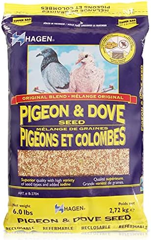 Hagen Pigeon & Dove Seed, Nutritionally Complete Bird Food, original version, 6 Pound (Pack of 1) (B2704) post thumbnail image