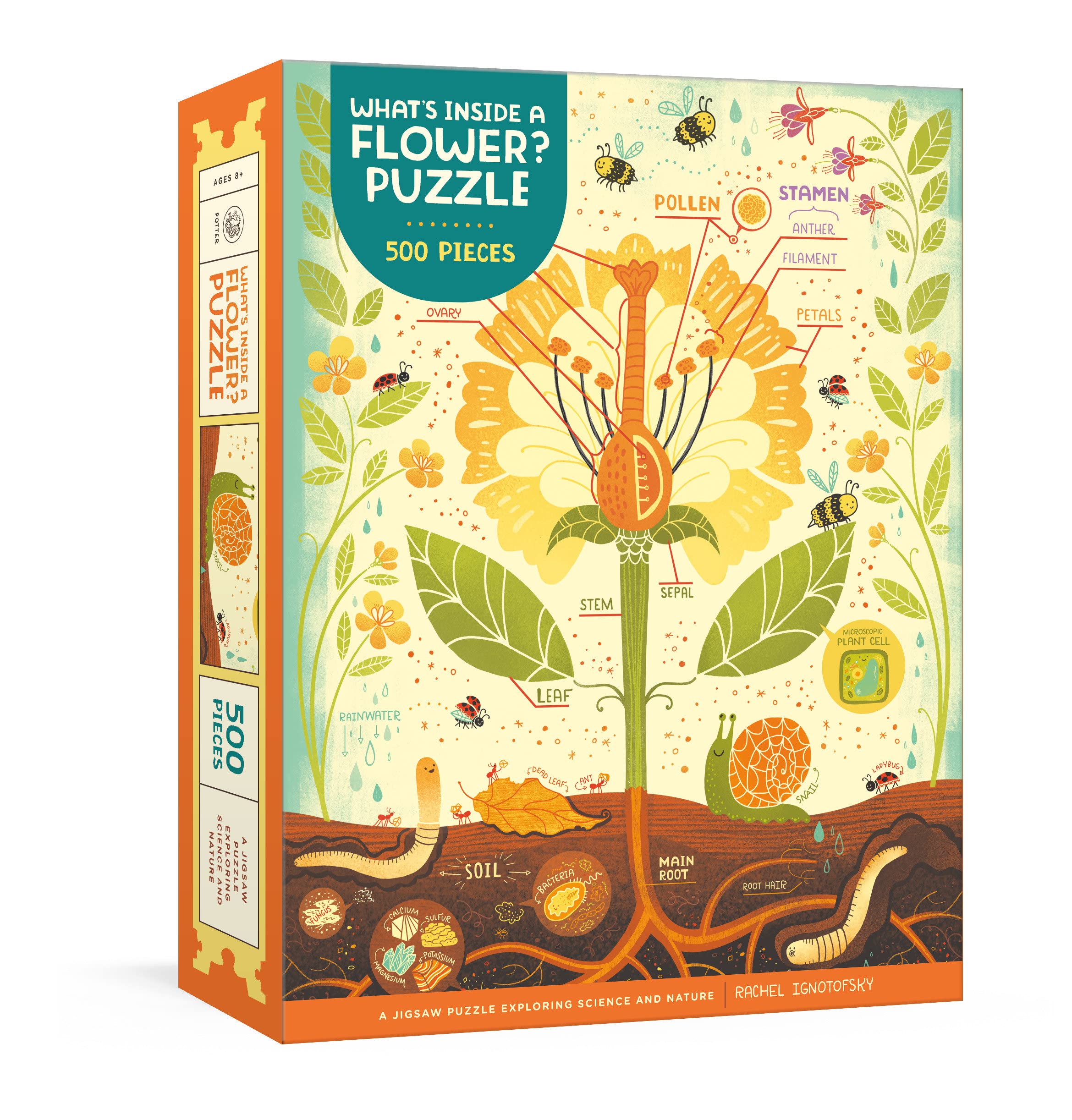 What’s Inside a Flower? Puzzle: Exploring Science and Nature 500-Piece Jigsaw Puzzle Jigsaw Puzzles for Adults and Jigsaw Puzzles for Kids post thumbnail image