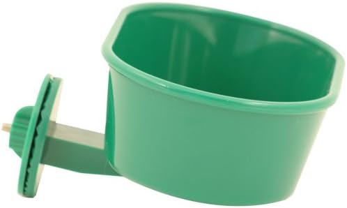 Featherland Paradise | Sure-Lock Cup for Birds | Bird Food Bowl for Bird Cage (20 Ounce) post thumbnail image