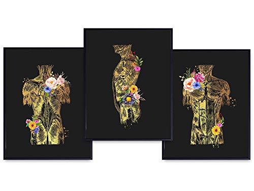 Human Anatomy Wall Art Set – Gift for Orthopedic Doctor, Physical or Massage Therapist, Nurse, Physicians Assistant, RN – Modern Gold Floral Room Decor – Medical Office, Home, Apartment, Living Room post thumbnail image