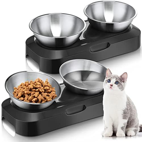 2 Pack Elevated Tilted Cat Bowls Stainless Steel Raised Cat Food and Water Bowl Set 0 and 15° Tilted Pet Cat Feeder Anti Vomit Cat Dishes with Stand for Indoor Cats Kitten Puppy Dogs post thumbnail image