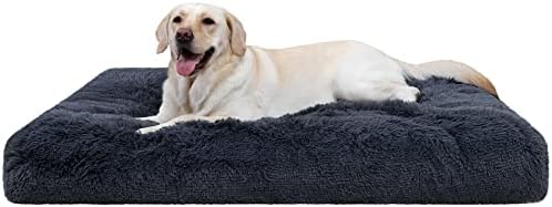 CHAMPETS Washable Dog Bed for Crate 35″X23″,Large Dog Bed Washable for Small,Medium,Large,Extra Large Dogs Cats Pet,Waterproof Dog Beds for Large Dogs with Washable Cover,Crate Pet Bed for Large Dogs post thumbnail image