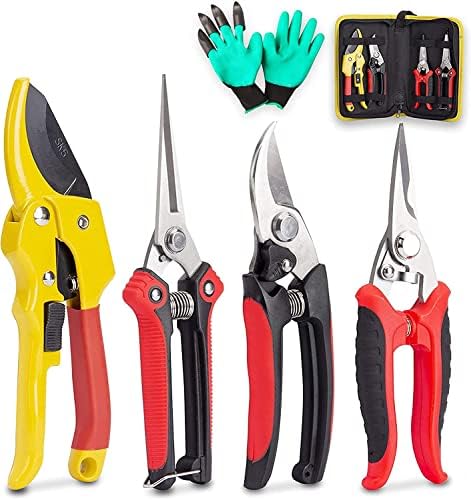 KOTTO 4 Pack Professional Bypass Pruning Shears, Stainless Steel Cutter Clippers, Sharp Hand Pruner Secateurs, Garden Trimmer Scissors Kit with Storage Bag and Protection Gloves post thumbnail image