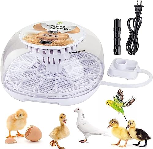 MYMULIKE Smart Chicken Incubators for Hatching Eggs with Automatic Turner Small Poultry Duck Quail 12 Egg Incubator Temperature Control Display Hatcher Machine with Automatic Chicken Waterer Cups post thumbnail image