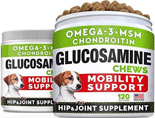 (2 Pack) Glucosamine Treats for Dogs – Joint Supplement w/Omega-3 Fish Oil – Chondroitin, MSM – Advanced Mobility Chews – Joint Pain Relief – Hip & Joint Care – Chicken Flavor – 240 Ct – Made in USA post thumbnail image