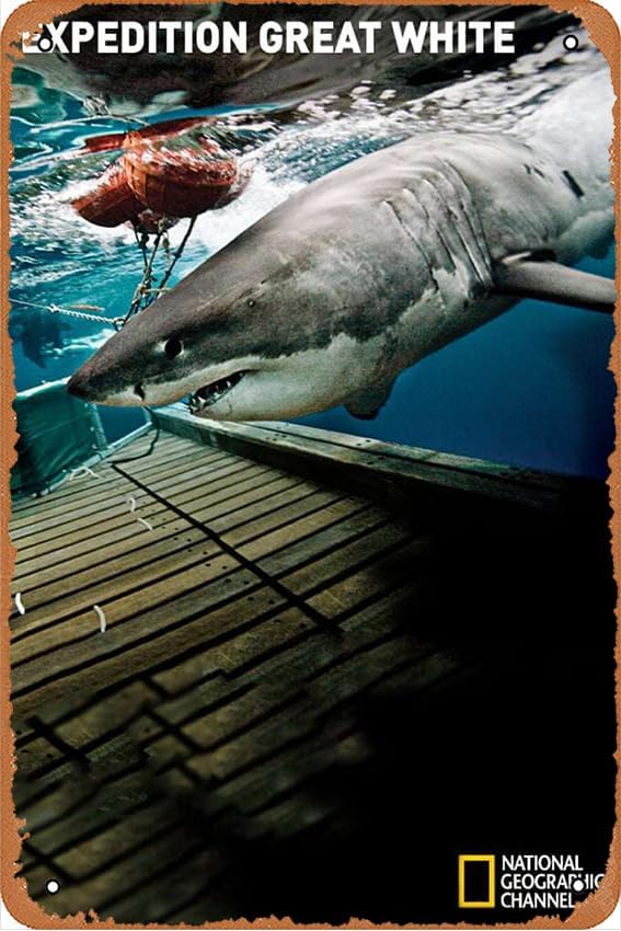 Expedition Great White Movie Poster – metal print – metal hanging scroll frame tin sign – vintage wall art for kitchen garden bathroom farm home decor, 8×12 inche post thumbnail image