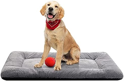 Dog Beds Crate Pad for Medium/Large Dogs Fit Metal,Ultra Soft, Washable & Anti-Slip Kennel Pad for Dogs Cozy Sleeping Mat,Gray 36inch post thumbnail image