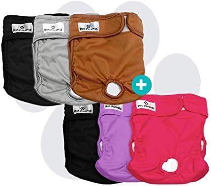 Pet Parents Washable Dog Diapers Bundle of Doggie Diapers, Color: Princess, and Natural Large Dog Diapers 6 Total Premium Washable Dog Diapers post thumbnail image