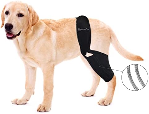 BaoGuai Knee Brace for Dogs ACL with Side Stabilizers,Knee Cap Dislocation, Arthritis – Keeps The Joint Warm and Stable – Extra Support – Reduces Pain and Inflammation – 7Sizes (M) post thumbnail image