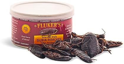 Fluker’s Gourmet Canned Food for Reptiles, Fish, Birds and Small Animals – Dubia Roaches, 1.2oz post thumbnail image