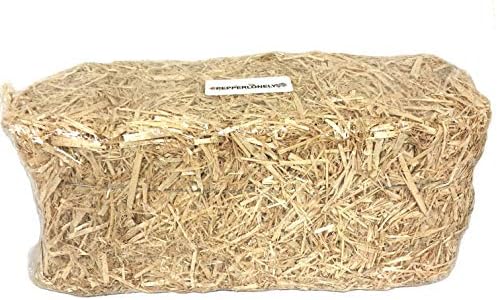 PEPPERLONELY Decorative Straw Bale, 6 x 5 x 13 Inch Natural Hay Bale for Autumn Harvest Craft, Decoration and Display post thumbnail image