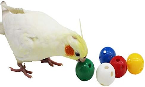 QBLEEV 5 Pack Bird Bell Balls Sets for Chewing Playing Training, Colorful Parrot Cage Treat Toy for Cockatiel Parakeet Conure Budgie, Small Pet Foot Talon Toy for Parrot Kitten Puppy, Random Color post thumbnail image