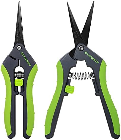 STAYGROW 2pcs 6.5″ Pruning Shears for Gardening, Ultra Sharp Garden Scissors for Precise Cuts, Stainless Steel Bonsai Clippers with Spring Loaded, 6.5 Inch Garden Shears (1pc Straight & 1pc Curved) post thumbnail image