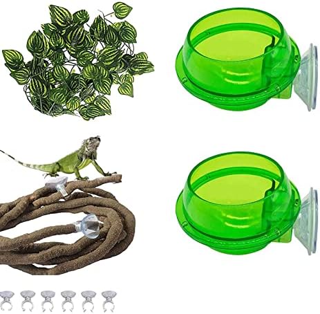 PINVNBY Reptile Suction Cup Feeder,Chameleon Feeding Food Bowl,Translucent Anti Escape Worm Live Fodder Container,Pet Ledge Water Dish Supplies for Lizard Gecko Bearded Dragon(4 Pcs) post thumbnail image