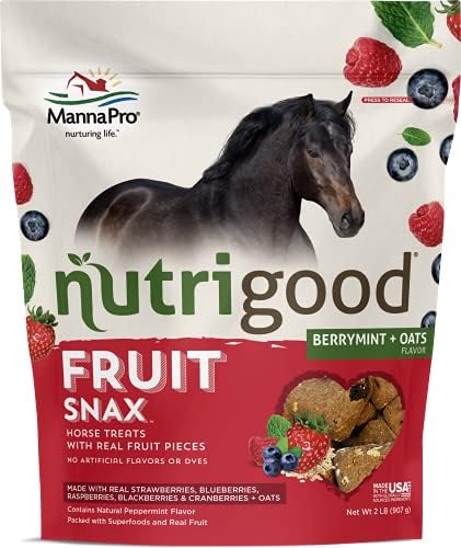 Nutrigood FruitSnax Horse Treats | Tasty Horse Treats Packed with Superfoods and Real Fruit Pieces | BerryMint + Oats Flavor | 2 Pounds post thumbnail image