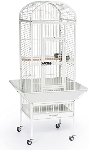 Prevue Pet Products 34512 Dometop Bird Cage, Small, Chalk White post thumbnail image