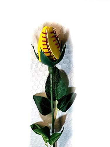 Sport Roses Baseball Softball Basketball Volleyball Soccer (Softball) (1 Rose) post thumbnail image