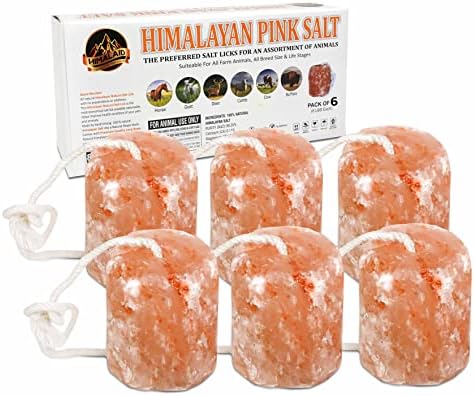 Himalaid Himalayan Salt Lick on Rope for Horses, Cattles, and Other Livestock, 6 LBS Each (6 Pack) post thumbnail image